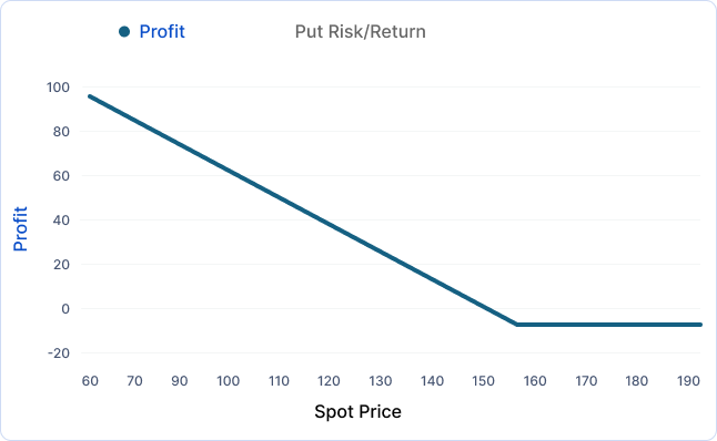 Put Risk/Return-Put Options